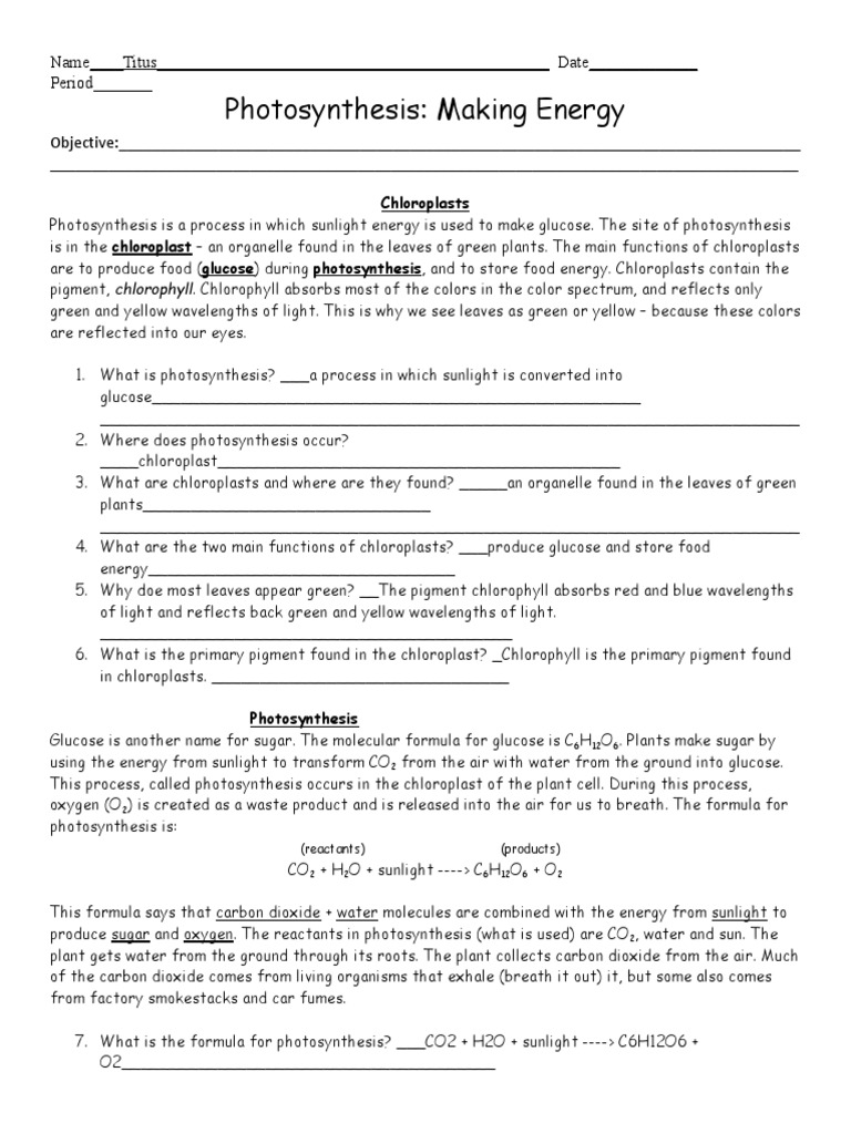 photosynthesis worksheetAMI PDF Photosynthesis Cellular Respiration