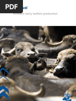 Download Efficient Dairy Buffalo Production by Amrit Sharma SN59419840 doc pdf