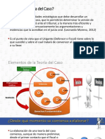 ¿Qué Es La Teoría Del Caso?