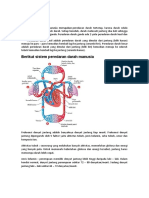 Sistem peredaran darah dan faktor yang mempengaruhi frekuensi denyut jantung