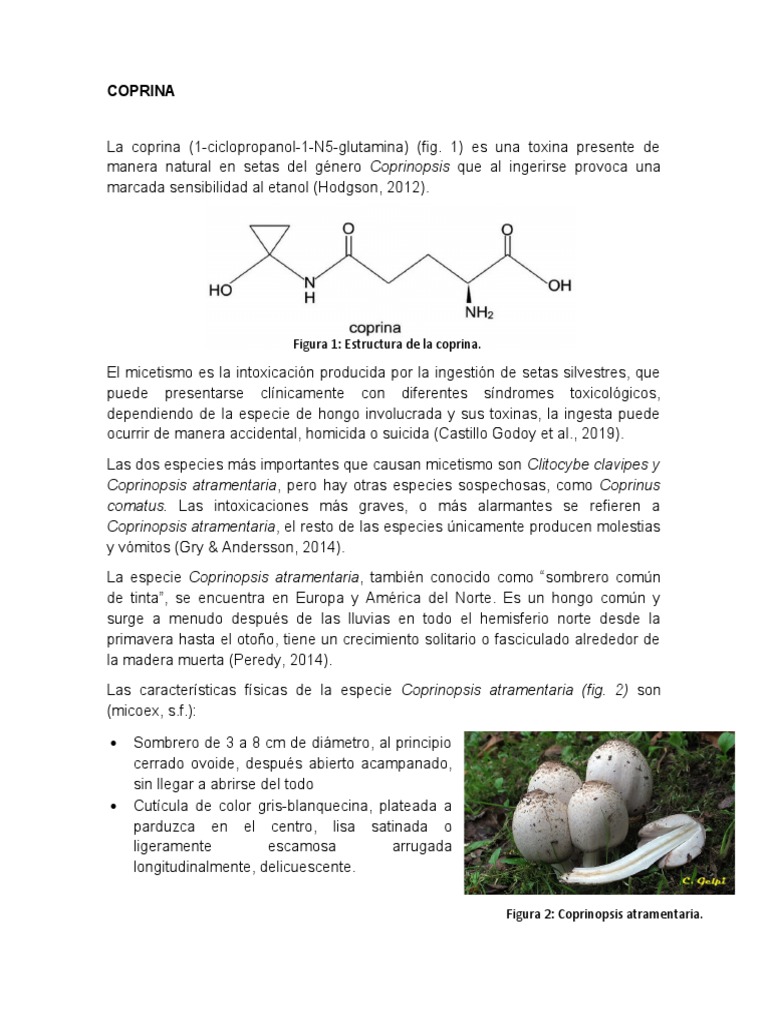 Coprina LGM | PDF | Etanol | Medicina CLINICA, image size:768x1024