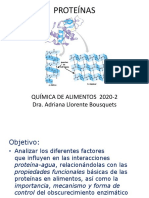 Proteínas-Enzimas 2020-2 Lisset