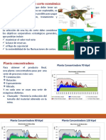 Ley de Corte Economica