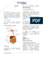 Nutrientes essenciais para uma dieta balanceada