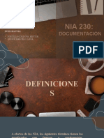 NIA230 Documentación de Auditoría