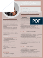 Curriculum Vitae CV Con Foto para Puesto Laboral Moderno Rosa (21 × 30 CM)