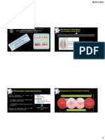 Tema 4 Microbiología de Las Infecciones Periodontales y Perimplantitis