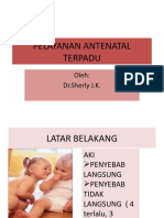 Pelayanan Antenatal Terpadu