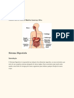 Sistema Digestório e Respiratório