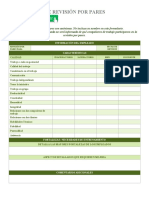 IC Peer Review Form Template 27089 - WORD - ES