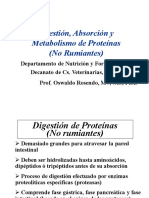 Digestion, Absorción y Metabolismo de Proteínas en No Rumiantes 2016