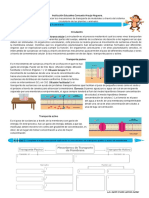 Circulación GUIA 1