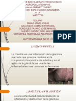 Mastitis Exposicion