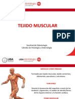 Seminario 8 - Tejido Muscular