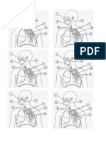 Sistema Respiratório - Atividades