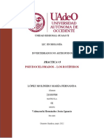 Practica Pseudocelomados-Los Rotiferos