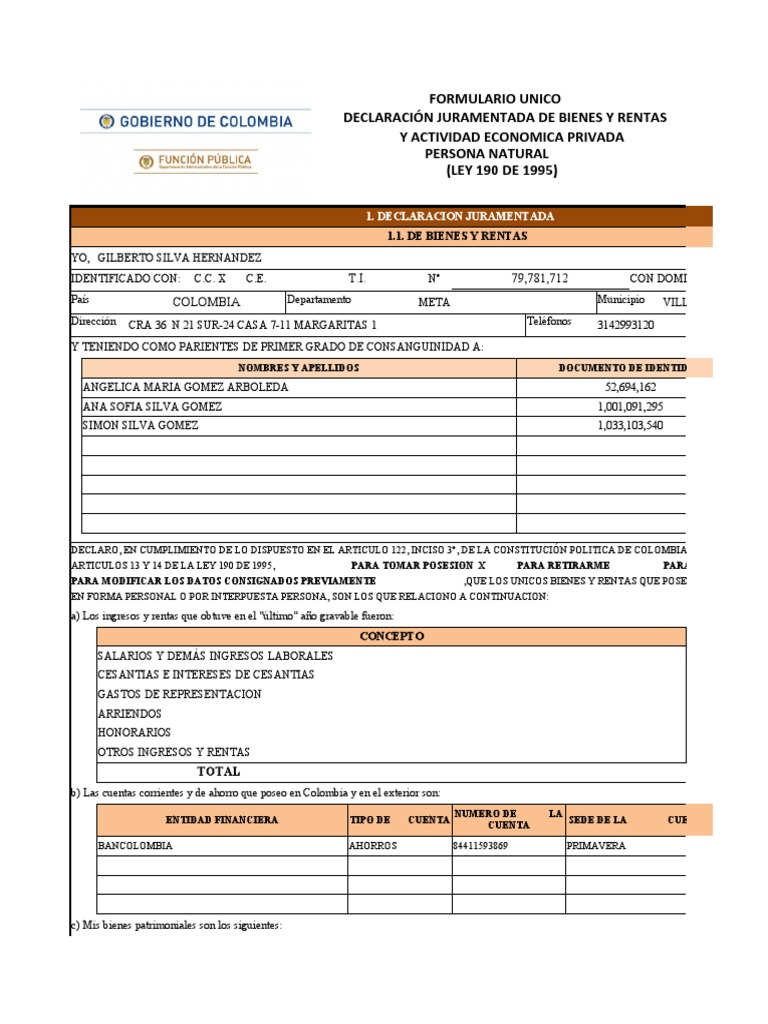 formato-bienes-y-rentas-pdf-economias