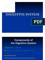 Revised Digestive System 2