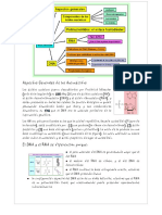 Aspectos Generales de Los Aminoácidos Diegod