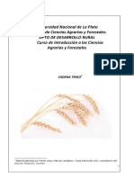 Trigo en Argentina: producción, comercio e historia