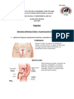 Tarea Semana 4