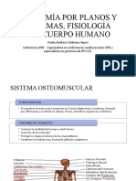 Anatomía Por Planos y Sistemas, Fisiología Del