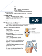 Articulações e Estudos Anatômicos