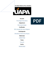 Neuropsicologia, Tarea 8.