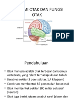 Anatomi Otak Dan Fungsi Otak