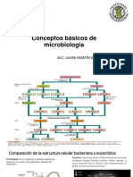 Conceptos Microbiología Básica