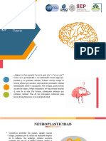 Ppt. Neuroplasticidad