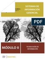 Módulo II Sistemas de Información Gerencial