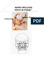 Manual Musculos Lamina Rio) Anatomia