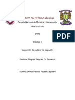 Practica 1 Neuroanatomia