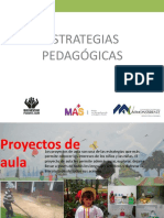 Presentacion de Estrategias