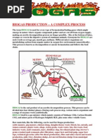 Download BIOGAS Presentation by Andreas Abraham SN59432906 doc pdf