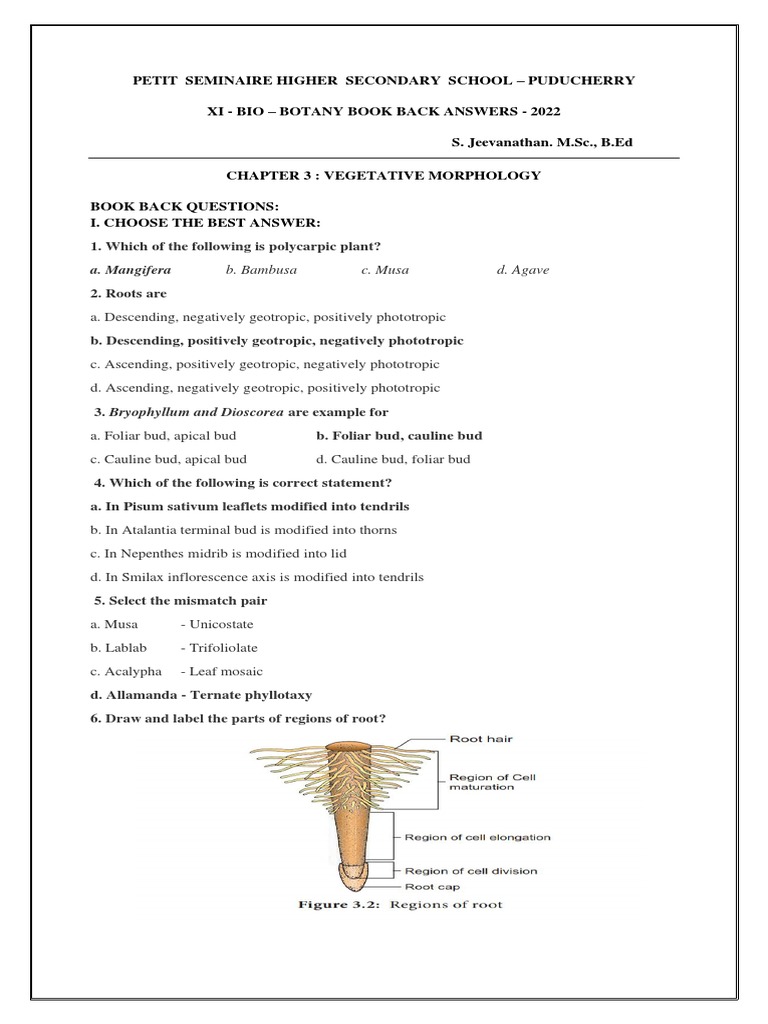 petit-seminaire-higher-secondary-school-puducherry-xi-bio-botany