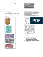 Latihan Soal Uh Jaringan Tumbuhan 220913 012751
