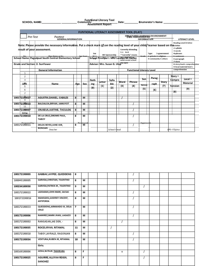 Flat individual learner and school assessment tool pdf reading