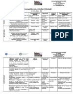 Planul Managerial