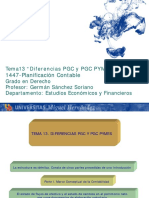 Tema 13. Diferencias PGC y PGC PYMES