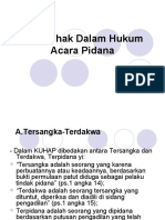 Hak Asasi Manusia Terkait Peradilan yang Adil