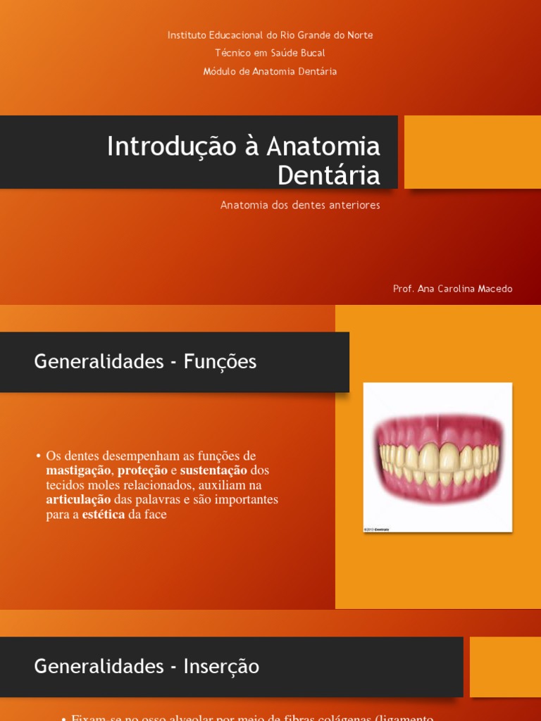 Slides Aula 1 Anatomia Dentária Pdf Dente Boca
