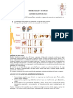 2.traumatologia y Ortopedia