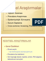 Kesitsel Araştırmalar