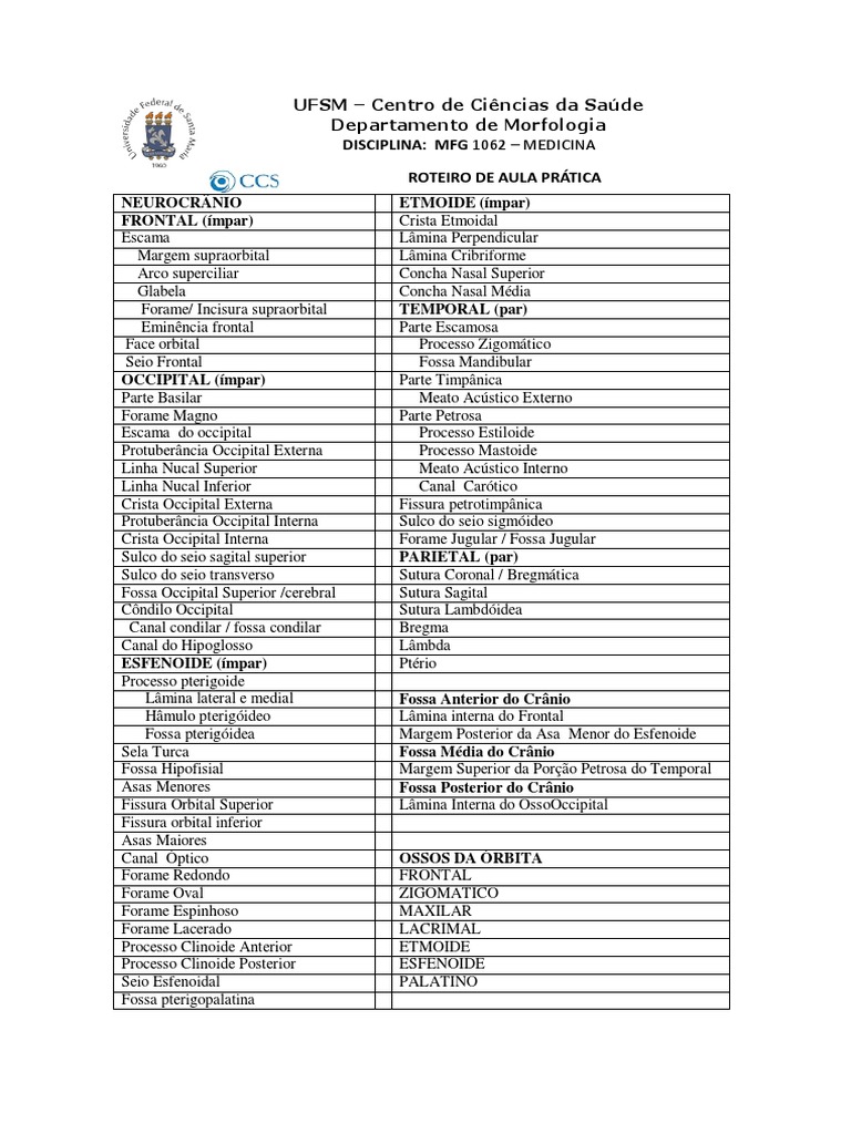 Aula Prática Ossos Do Crânio Pdf Anatomia Sistema Locomotor