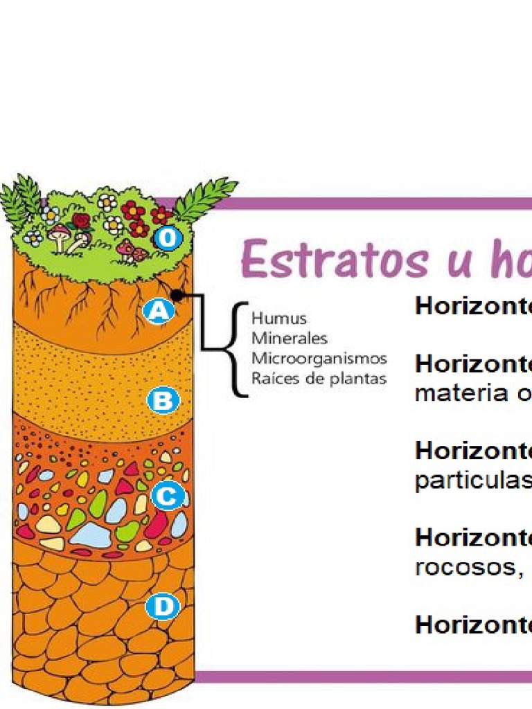 Horizontes | PDF