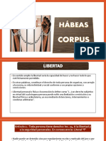 Der. Proc. Const. Hábeas Corpus 2020-II