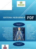 Anatomia II SNP