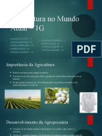 Agricultura No Mundo Atual